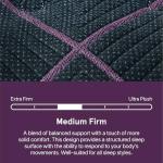 Beautyrest World Class Level Three Medium Firm 14.5" Mattress - Queen Size - Durable Support, Pressure Relief, Cooling, Motion Separation; CertiPUR-US, 100 Night Sleep Trial and 10 Year Warranty