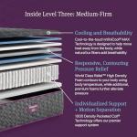 Beautyrest World Class Level Three Medium Firm 14.5" Mattress - Queen Size - Durable Support, Pressure Relief, Cooling, Motion Separation; CertiPUR-US, 100 Night Sleep Trial and 10 Year Warranty