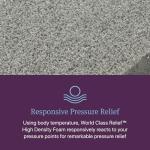 Beautyrest World Class Level Three Medium Firm 14.5" Mattress - Queen Size - Durable Support, Pressure Relief, Cooling, Motion Separation; CertiPUR-US, 100 Night Sleep Trial and 10 Year Warranty