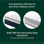 ZINUS 14 Inch Cooling Comfort Support Hybrid Mattress [New Version], California King, Fiberglass Free, Medium Plush, Cooling Motion Isolation, Certified Safe Foams & Fabric, Mattress in A Box