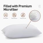 Acanva Bed Pillows 2 Pack Hotel Collection Luxury Soft Inserts for Sleeping-Breathable and Comfortable for Stomach Back Sleepers, King (Pack of 2), White