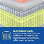 Sealy Dreamlife 14” Hybrid Mattress-in-a-Box, King, SealyComfort Gel Memory Foam, SealyResponsive Encased Coils, Machine Washable Cover