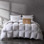 Pacific Coast Luxury White Goose Feather and Down Fiber Comforter Queen Size, All Season Fluffy Hotel Bedding Comforters，Ultra-Soft & Breathable Fabric duvet insert queen with 8 Tabs, 90x90 Inch White