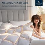 Pacific Coast Luxury White Goose Feather and Down Fiber Comforter Queen Size, All Season Fluffy Hotel Bedding Comforters，Ultra-Soft & Breathable Fabric duvet insert queen with 8 Tabs, 90x90 Inch White