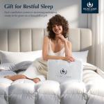 Pacific Coast Luxury White Goose Feather and Down Fiber Comforter Queen Size, All Season Fluffy Hotel Bedding Comforters，Ultra-Soft & Breathable Fabric duvet insert queen with 8 Tabs, 90x90 Inch White