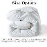 ELNIDO QUEEN® Feather Comforter Queen Size, Filled with Feather and Downfiber, All Season White Luxury Hotel Fluffy Bed Comforter, Ultra Soft 100% Cotton Duvet Insert, 90x90 Inch