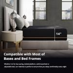 MLILY EGOHOME 14 Inch Hybrid Queen Size Mattress, Memory Foam Pocket Spring Mattress for Cooling Sleep, Bed in a Box, CertiPUR-US Certified, Pressure Relief, 60x80x14 Black