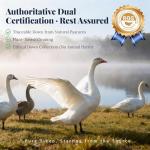 PlushHavenCloud White Goose Down Pillow Luxury Hotel Bed Pillow with Natural 800+Fill Power, Goose Down Fiber Pillow for Sleeping, 700TC Cotton Shell, Standard Size - Firm/More Support, 1 Pack