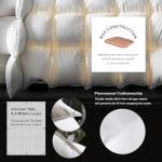 Royoliving Premium Feathers Down Duvet Insert Comforter Oversized King Size All Season Medium Warmth White 100% Cotton Cover with Corner Tabs (120x98, 77 oz)