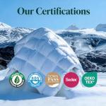 Royoliving Premium Feathers Down Duvet Insert Comforter Oversized King Size All Season Medium Warmth White 100% Cotton Cover with Corner Tabs (120x98, 77 oz)