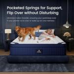 Queen Mattress, 2026 Upgraded 16 Inch Queen Size Mattress in a Box, Cool Gel Memory Foam Hybrid Mattress, Individual Pocket Spring, Back Pain Relief, Motion Isolation, Strong Edge Support, CertiPUR-US