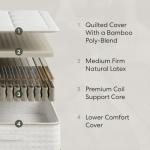 Awara Natural Hybrid Queen Mattress 10 Inch - Certified Organic Natural Latex - Sustainable New Zealand Wool - Fiberglass-Free - 365-Night Trial