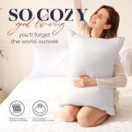 Basic Beyond King Size Bed Pillow - 2 Pack Hotel Collection Super Soft Down Alternative Pillow for Sleeping, 20x36 Inches