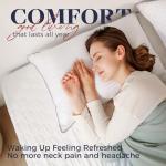 Basic Beyond King Size Bed Pillow - 2 Pack Hotel Collection Super Soft Down Alternative Pillow for Sleeping, 20x36 Inches