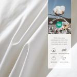 Royoliving Premium Feathers Down Duvet Insert Comforter Queen Size Heavyweight Thickened Winter White 100% Cotton Cover with Corner Tabs (90x90, 60 oz)