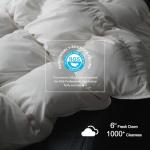 Royoliving Premium Feathers Down Duvet Insert Comforter Queen Size Heavyweight Thickened Winter White 100% Cotton Cover with Corner Tabs (90x90, 60 oz)