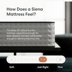 Siena 10” Queen Hybrid Firm Mattress - Memory Foam & Innerspring System - 180 Night Trial - Premium Pressure-Relieving Layers - 10 Year Warranty - Mattress in a Box - CertiPUR-US Certified
