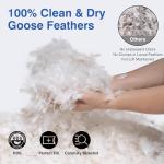 zibroges Feather Pillows Queen Size Set of 2 - Goose Down Hotel Bed Pillow for Sleeping, Soft 600 Thread Count Cotton Cover, Fluffy Support Surround Fill Polyester for Side, Back and Stomach Sleepers