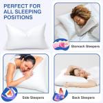 zibroges Feather Pillows Queen Size Set of 2 - Goose Down Hotel Bed Pillow for Sleeping, Soft 600 Thread Count Cotton Cover, Fluffy Support Surround Fill Polyester for Side, Back and Stomach Sleepers