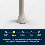 Serta Five Star Mattress Tranquility 7-Inch Firm – Cal King– Supportive Coils, Breathable Foam – Bed-in-a-Box– 100 Night Trial, 10-Year Limited Warranty