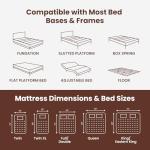 SLEEP100 Queen 14-Inch Gel Memory Foam Mattress– Medium Firm Cooling Mattress in a Box for Side Sleepers & Hot Sleepers – Targeted Pressure Relief – Fiberglass Free, CertiPUR-US, 365-Night Trial