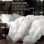 Luxurious Oversize California King 108" x 98" Size Goose Down Fiber Waterfowl Feather Fiber Comforter Duvet, 100% Egyptian Cotton Cover, 68 oz. Fill Weight, Baffle Box Design, White Solid