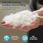 Ltinhome Feathers & Down Comforter, Organic Duvet Insert, 100% Cotton Shell, Ethically-sourced Feathers and Down Filler, All Season Warm, Queen Size, White