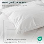 Ltinhome Feathers & Down Comforter, Organic Duvet Insert, 100% Cotton Shell, Ethically-sourced Feathers and Down Filler, All Season Warm, Queen Size, White