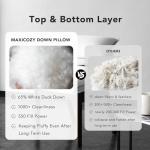 Down Feather Pillow Queen Size, White Duck Down and Feather Filled Pillow Inserts, Firm and Soft Hotel Bed Pillows with 430 TC Cotton Blend Cover Fit for Back, Stomach and Side Sleeper, Pack of 1