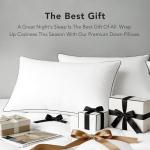 Down Feather Pillow Queen Size, White Duck Down and Feather Filled Pillow Inserts, Firm and Soft Hotel Bed Pillows with 430 TC Cotton Blend Cover Fit for Back, Stomach and Side Sleeper, Pack of 1