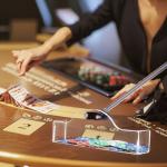 WodGod Adjustable Length Casino Grade Metal Chip Rake,Telescopic Handle Roulette Rake,Chips Stick,Texas Hold'em,Poker Rake (Transparent)