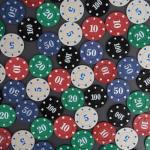 PrreDeACCE 200PCS Poker Chips Set with Portable Storage Bag Casino Poker Chips Denominations Plastic Learning Counters Disks for Texas Holdem Blackjack Poker Night Party