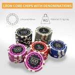 300 Chips Professional Poker Chip Set with Aluminum Case, 11.5 Gram Composite Clay Chips, 2 Decks of Cards, 5 Dice & Dealer Button - Perfect for Texas Holdem, Blackjack, Casino Night (300 pcs)