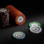 SODFAS 100 Piece Clay Poker Chips 14 Grams Heavyweight Clay Composite Casino 40mm Chips for Texas Hold’em Game Night (A $1)