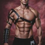 WRWMSLGO Men Chest Harness Belt Adjustable Faux Leather Body Chest Harness Strap Gothic Punk Fetish Cosplay Costumes Sexy Party Clubwear BDSM Bondage Slave Role Play
