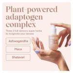 Playground Mood Maker Intimacy Oil, Organic Pleasure Enhancer with Ashwagandha, Reishi & Cordyceps, Pleasure Enhancing, Organic, Hydration, Travel Friendly Formula, 1 Fl. Oz.