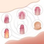 New Adult Toy for Women 7.87 Inch Realistic Silicone Dick with Remote Vibrador Control and Strong Suction Cup for Hands-Free Play - BMBUJO