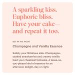 Playground Date Night Intimate Serum and Moisturizing Lubricant for Women, Vegan Lotion with Hyaluronic Acid, Vitamin E, Ashwagandha, Vanilla & Champagne Essence for Smooth Non Sticky Glide, 3.7 Fl Oz