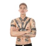 UIWFJEH Men's Chest Harness Sexy Body Belt Bondage Punk Fancy Costume Fetish Erotic Clothing Accessories Silver,Silver,One Size
