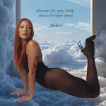 Shibari Water-Based Personal Lubricant for Women & Couples pH-Balanced Intimate Lube, Unscented, Clean Formula, Toy-Safe & Condom-Safe, Made Without Parabens, Glycerin, and Hormones, 8 Fl Oz