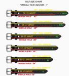 Funk Plus Grade A Bondage Belt Silver Ring Genuine Leather Punk Goth Style (XL)