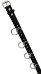 Funk Plus Grade A Bondage Belt Silver Ring Genuine Leather Punk Goth Style (XL)