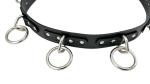 Funk Plus Grade A Bondage Belt Silver Ring Genuine Leather Punk Goth Style (XL)