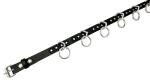 Funk Plus Grade A Bondage Belt Silver Ring Genuine Leather Punk Goth Style (XL)