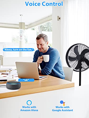 Alexa and Google Home Smart Plug with Timer