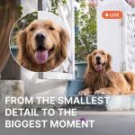 AlfredCam Plus 2 Smart Home Security Camera 2.5K, WiFi 2.4 & 5GHz, Indoor/Outdoor, IP65 Waterproof, LED Spotlight, Two-Way Audio, Color Night Vision, Baby/Pet Cam, App Powered (90M+ downloads)