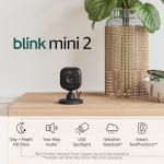 Blink Mini 2 — Home Security & Pet Camera(s) with HD video, color night view, motion detection, two-way audio, and built-in spotlight — 1 camera (Black)