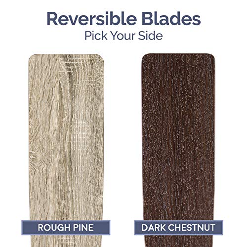 Matte Black 52" Potomac Ceiling Fan by Prominence