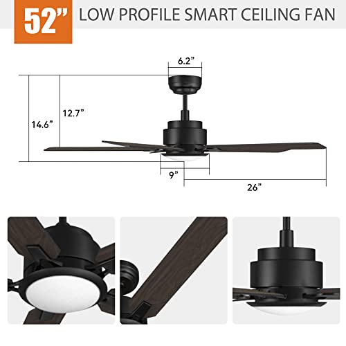 Smart Ceiling Fan with Light and 10 Speeds