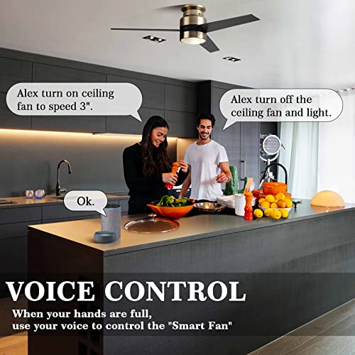 Smart 52-Inch Ceiling Fan with Light Controls